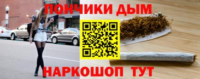 гашик Анжеро-Судженск