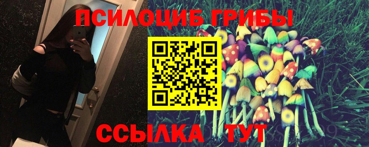 Галлюциногенные грибы прущие грибы Ртищево
