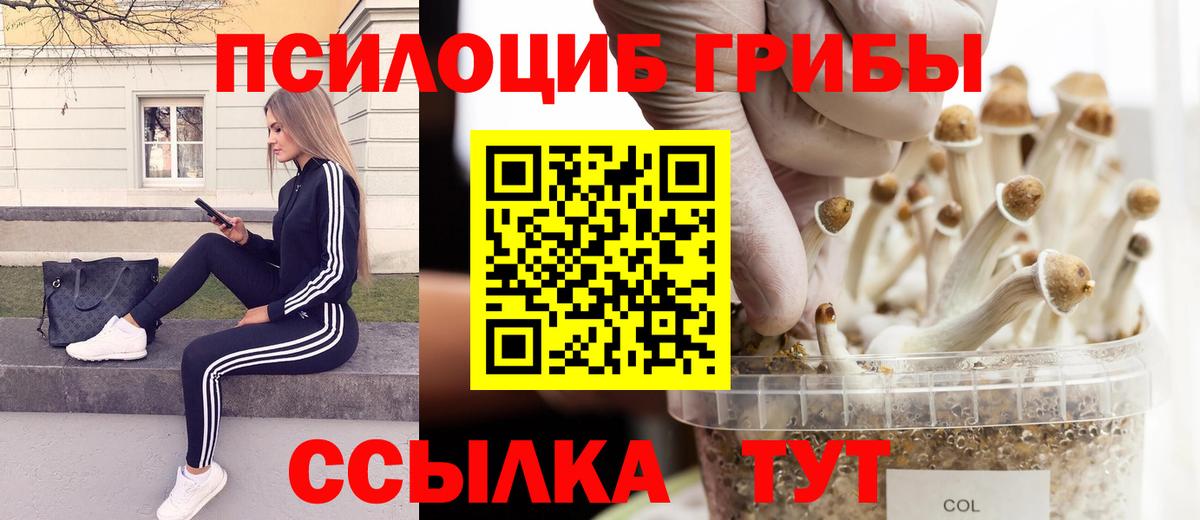 Ртищево  Псилоцибиновые грибы Psilocybine cubensis  Вход с VPN  Галлюциногенные грибы прущие грибы 